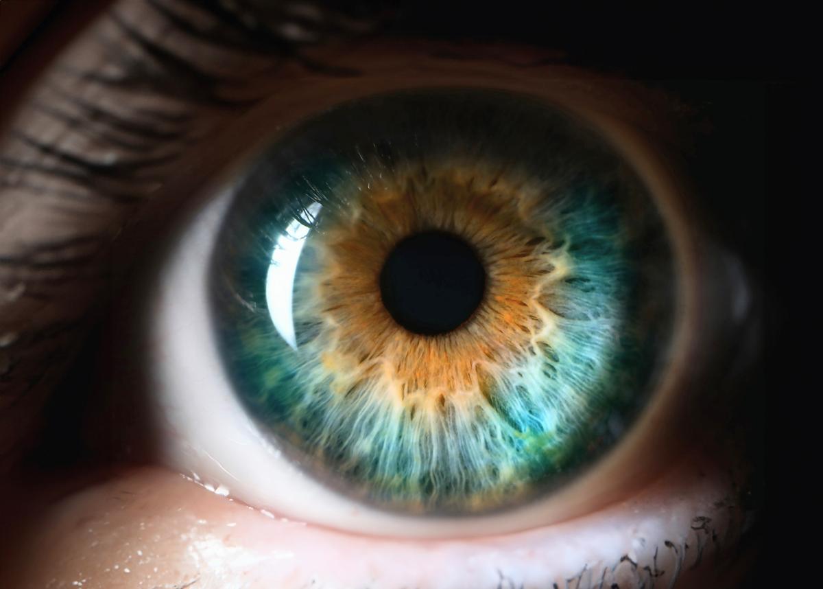 Incredible news: a new wireless eye implant is helping blind patients regain their ability to read, offering renewed independence and a brighter future! This medical breakthrough is truly life-changing. ✨ #MedicalBreakthrough #VisionRestoration #GoodNews