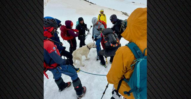 Dog survives 9 days at 1,900m altitude in Metsovo, Greece — Found by hikers and returned to its owner (Video)