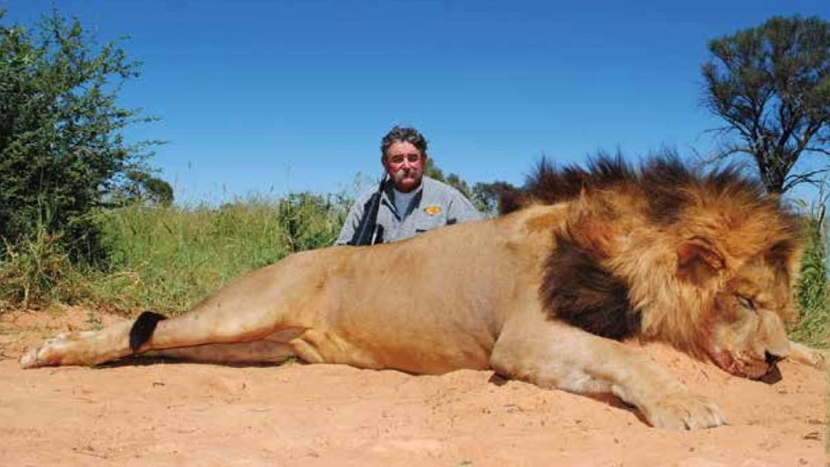 Millionaire US big game hunter, 75, is trampled to death by five elephants while hunting antelope in central Africa