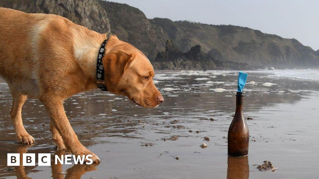 Dog finds Canadian message in a bottle on Aberdeenshire beach