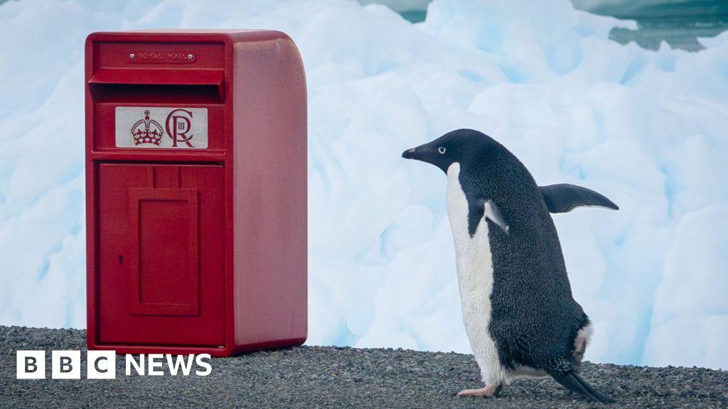 King Charles III sends a red post box to Antarctica, letting researchers feel the joy of handwritten letters.