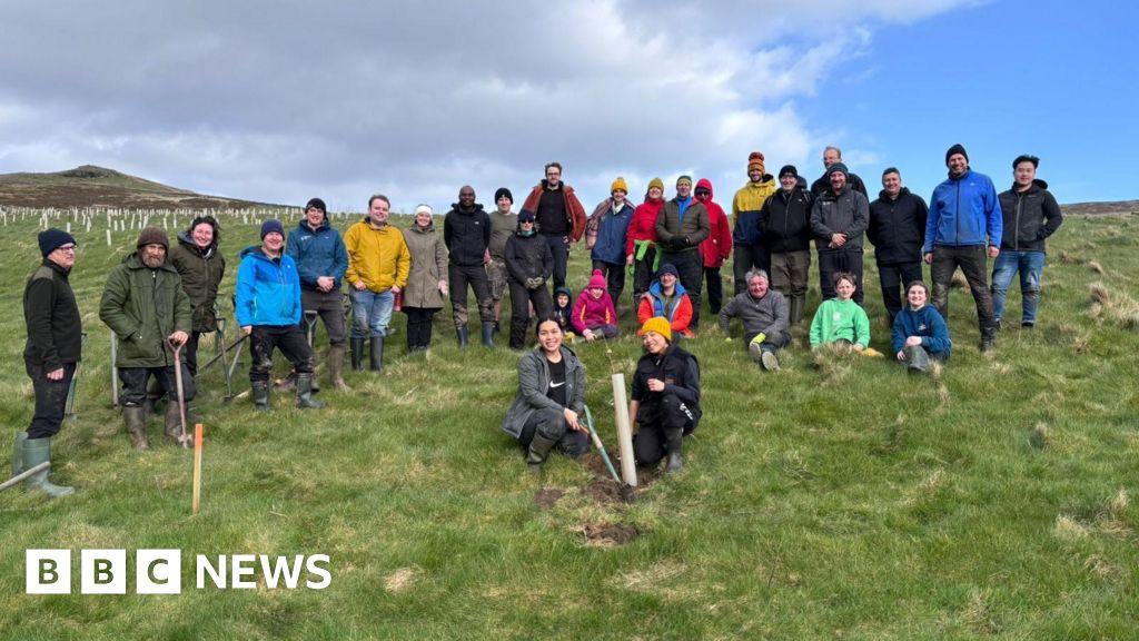30,000 trees planted to create Isle of Man temperate rainforest, with the team behind it hoping to plant 333,000 more across the island.