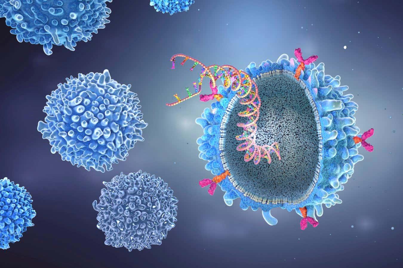 CAR T-cell therapy takes woman with three different autoimmune conditions from bedridden to 'perfectly fine'