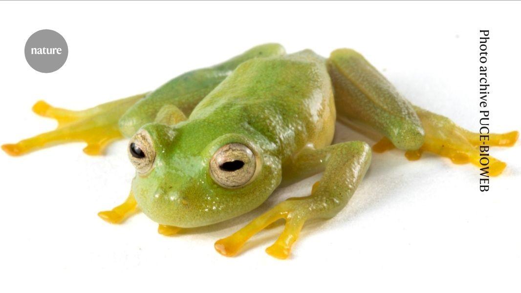 The news is not all bad: five inspiring science stories to lift your mood | Species recovery, cancer-preventing vaccines and progress in developing renewable-energy sources are just some of the positive developments that have happened this year so far