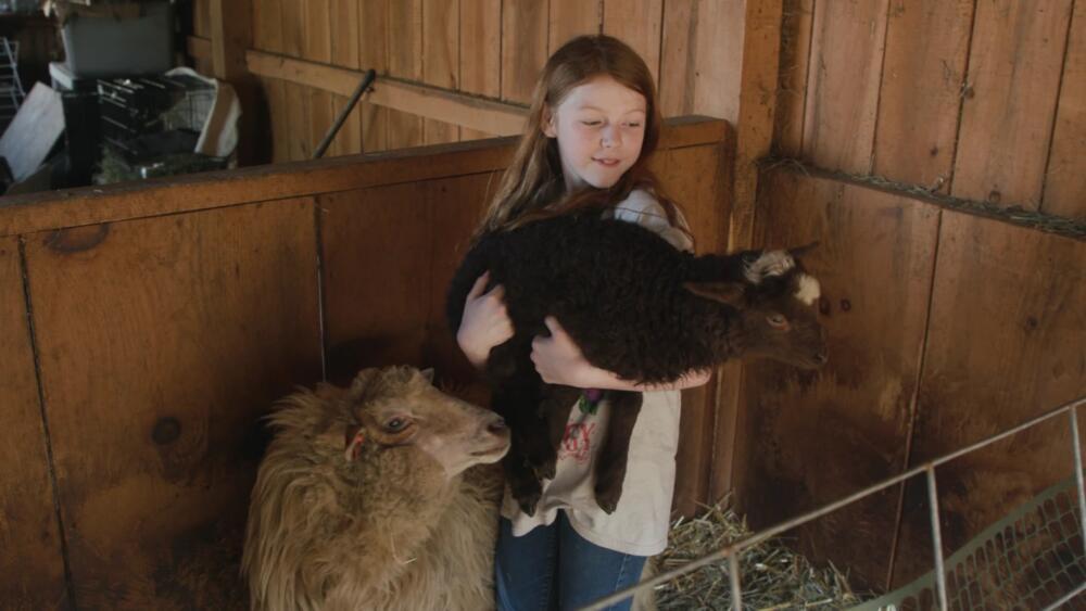 11-year-old Rhode Island girl helps save rare Navajo-Churro sheep breed