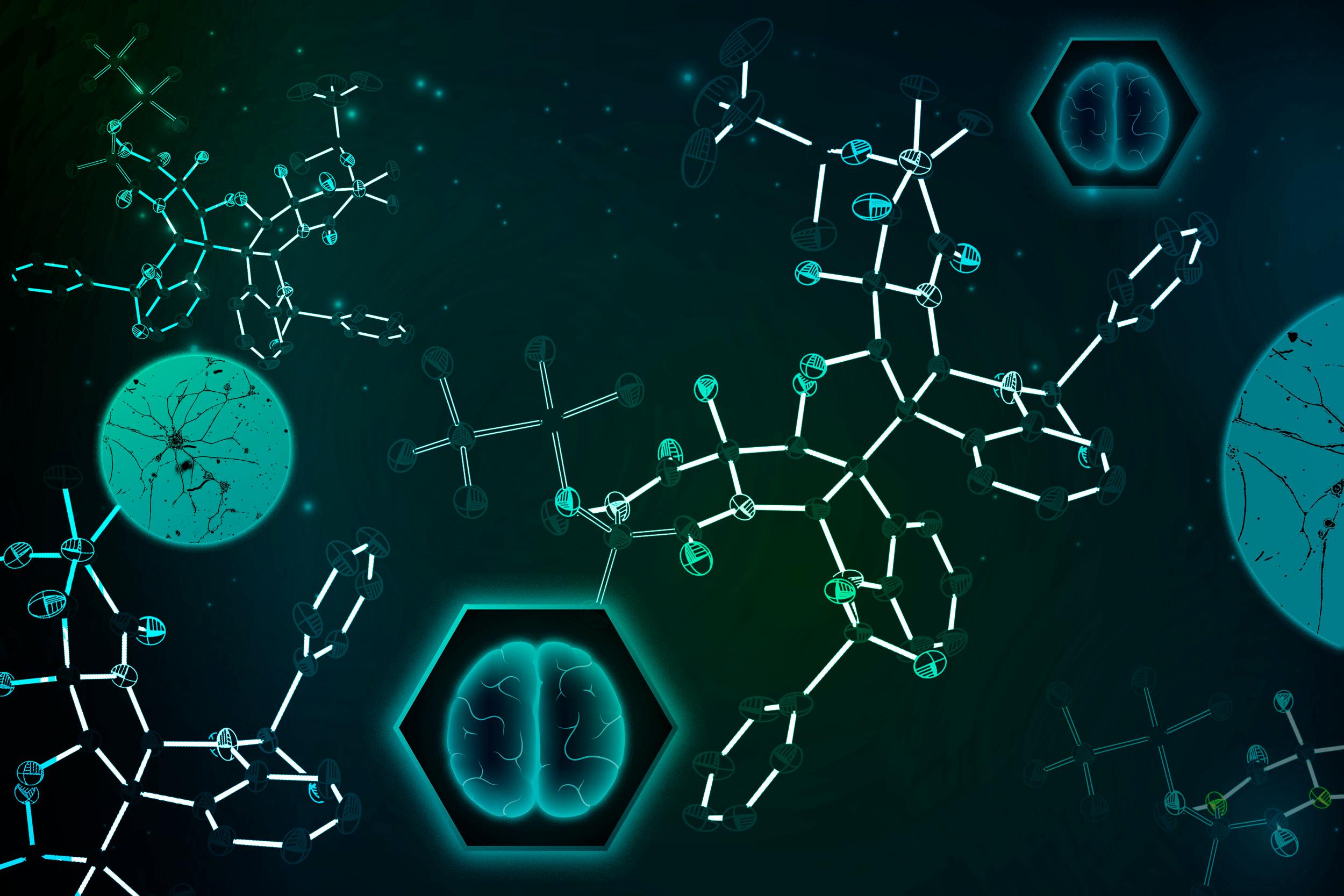 MIT chemists synthesize a fungal compound that holds promise for treating brain cancer
