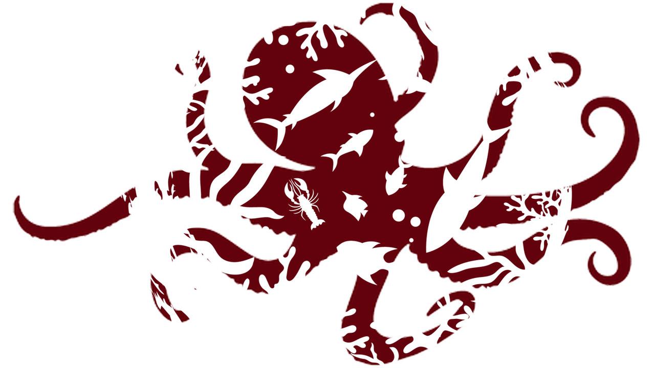 Mexico Introduces Legislation to Federally Ban Octopus Farming