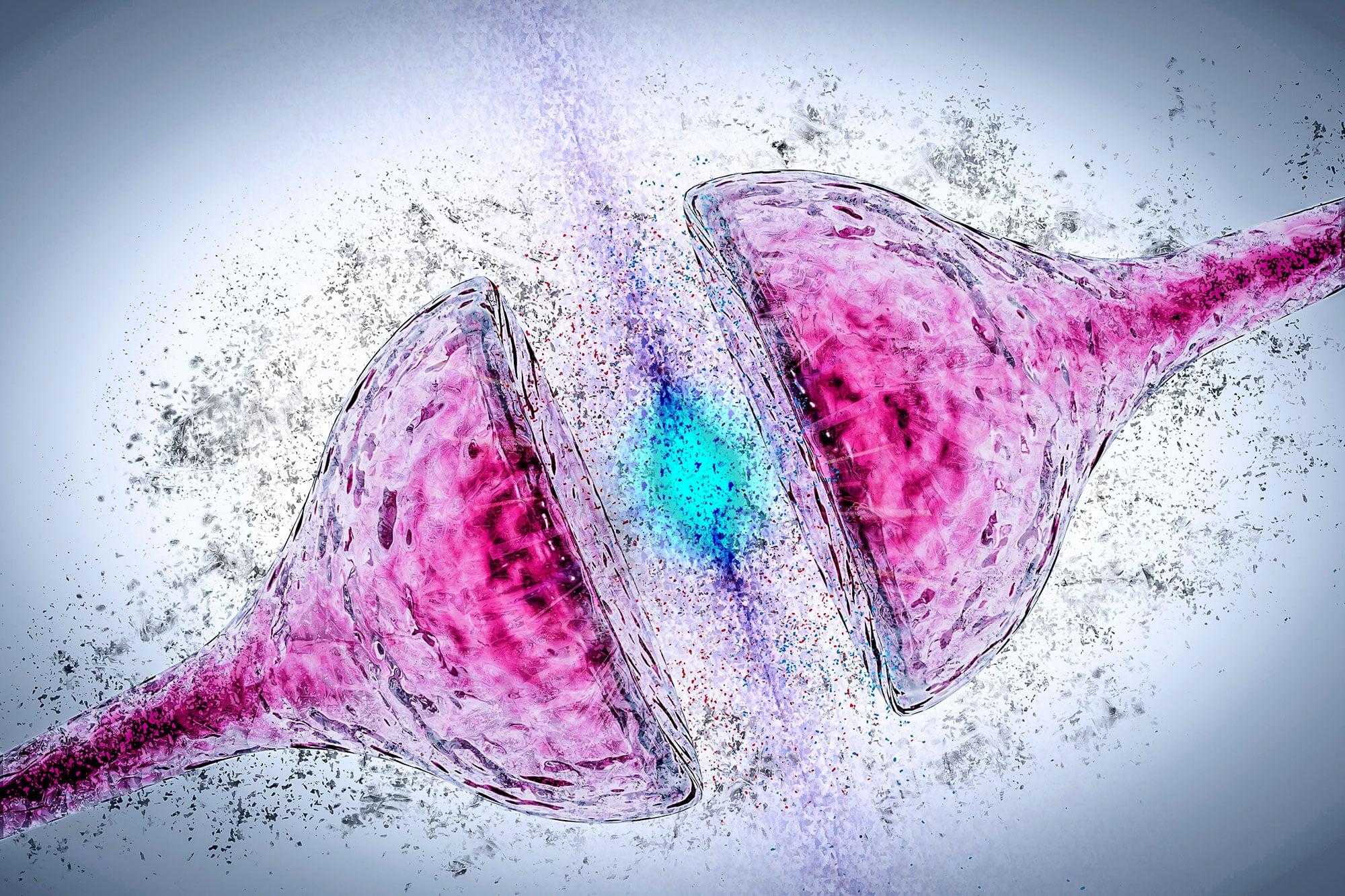 Researchers Discover Boosting a Single Protein Helps the Brain Fight Alzheimer’s