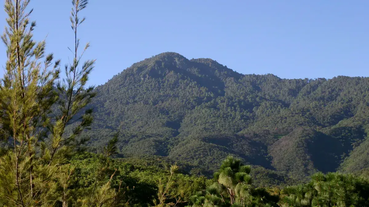 Mexico's Supreme Court sets key precedent by recognizing that any inhabitant or user of an ecosystem can file an environmental injunction to demand its protection, even without proving direct individual harm, laying groundwork for communities across the country to defend their natural resources