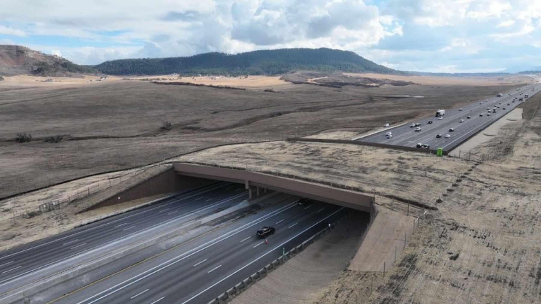 Colorado’s wildlife crossing system cut wildlife collisions on Interstate 25 by 91%. A stretch that averaged 32 crashes a year has seen just two in 10 months, while a 200 foot wide bridge covered in grass reconnects 39,000 acres of habitat with five underpasses and miles of fencing.