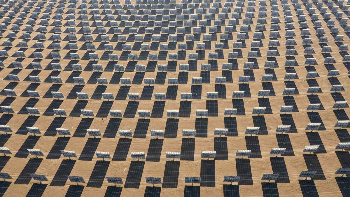Great news from the Gemini Solar Project in the Mojave Desert! By intentionally preserving native soil and its dormant seed bank, rare plants were found thriving under the panels even as energy production hit record levels. 🌱☀️ #SolarPower #Biodiversity #MojaveDesert #CleanEnergy #GoodNews