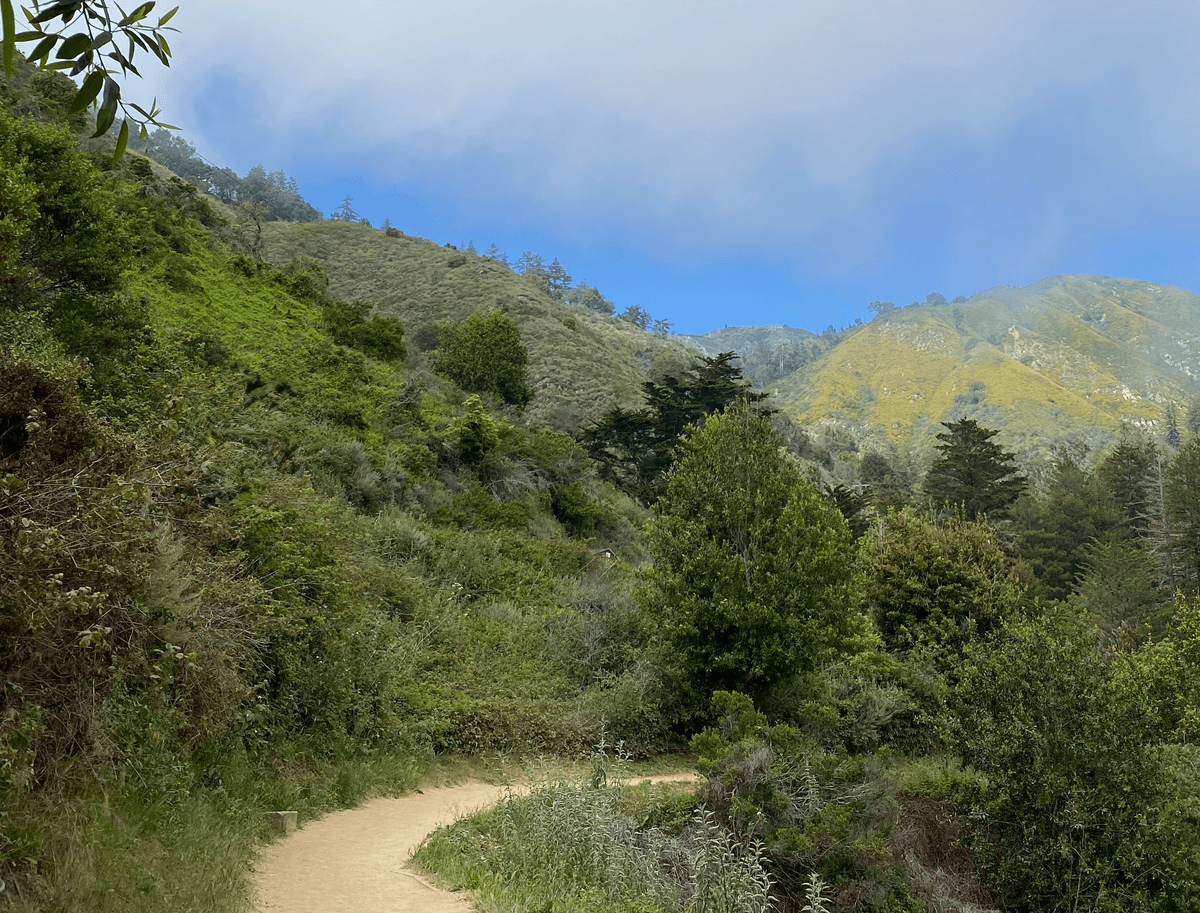 Climate Solutions Update -  World’s Largest Grid Battery, Egypt’s 1 GW Solar+Storage, and Quebec CO2 Storage Scale Up