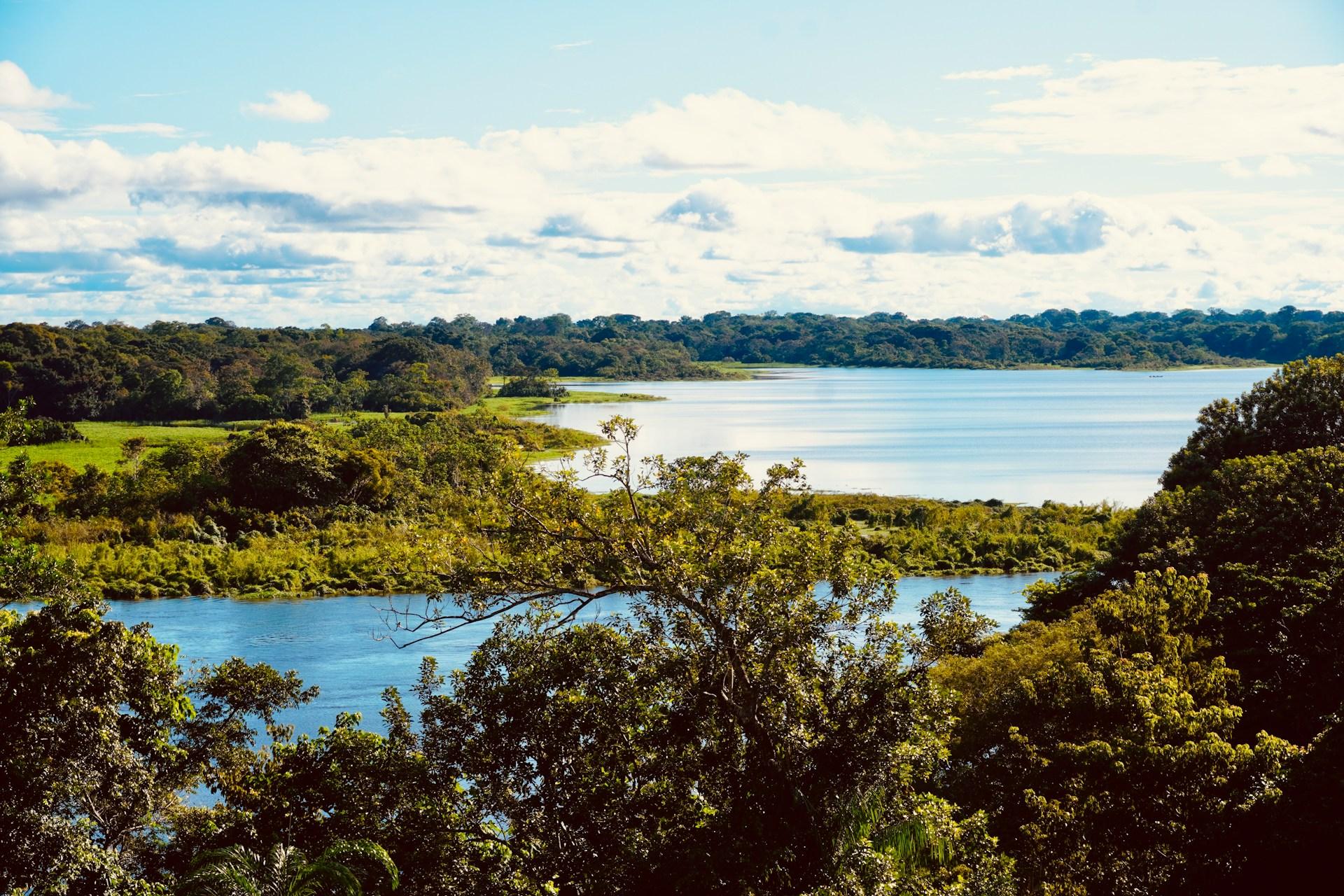 Colombia just protected 42% of its territory from new mining and oil and gas projects, placing 483,000 square kilometres of the Amazon under permanent protection. More than half of the area is already Indigenous territory, where 99.5% of the forest remains intact.