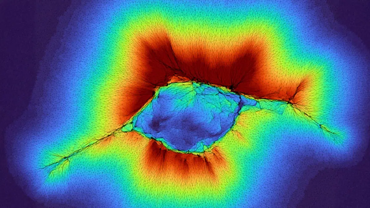 Mind-blowing discovery! 🤯 Cells can sense their surroundings *10 times farther* than previously believed, opening exciting new avenues. This expanded understanding offers incredible potential for unraveling complex biological mysteries and inspiring future health solutions! #ScienceBreakthrough #CellBiology