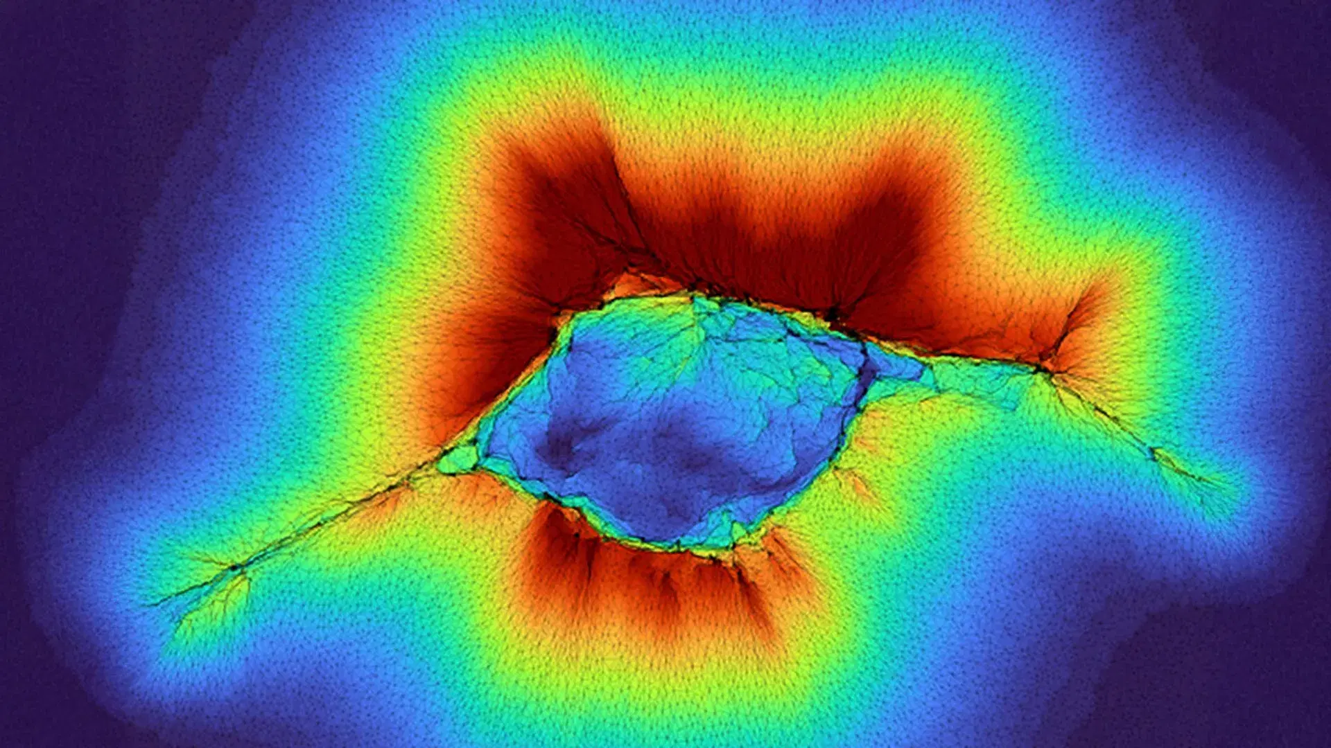 Cells can sense 10x farther than expected and it may explain cancer spread