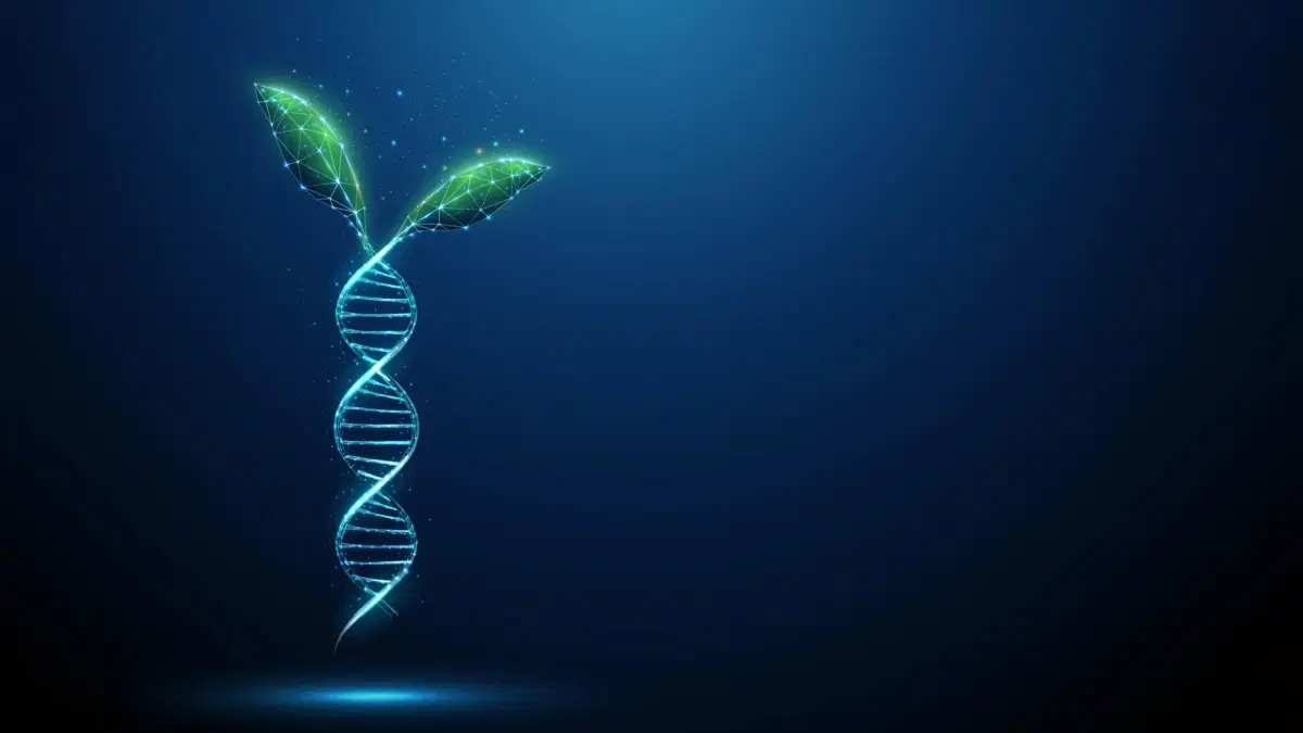 Scientists have just unveiled an incredible secret: ancient DNA "switches" hidden in plants for 400 million years! This fascinating discovery could unlock new insights into plant resilience and adaptation, offering exciting possibilities for the future. 🌿 #ScienceNews #PlantBiology #AncientDNA