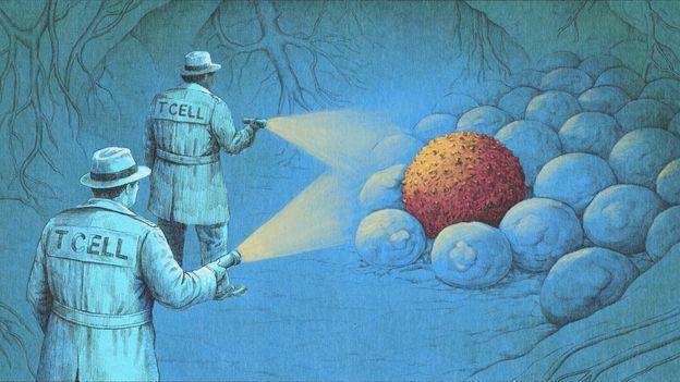 'It's incredible, like science fiction': How a new wave of immunotherapy is eliminating cancers